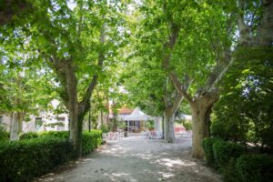 Restaurant Les Ombrages Montfavet - Avignon