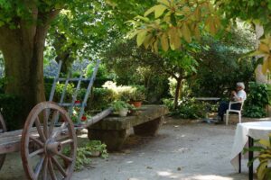 Restaurant Les Ombrages Montfavet - Avignon