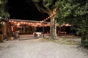 Restaurant Les Ombrages Montfavet - Avignon